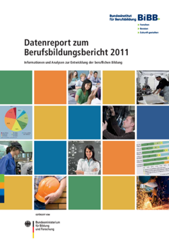 Coverbild: Datenreport zum Berufsbildungsbericht 2011