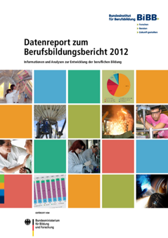 Coverbild: Datenreport zum Berufsbildungsbericht 2012