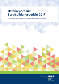 Coverbild: Datenreport zum Berufsbildungsbericht 2017