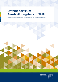 Coverbild: Datenreport zum Berufsbildungsbericht 2018