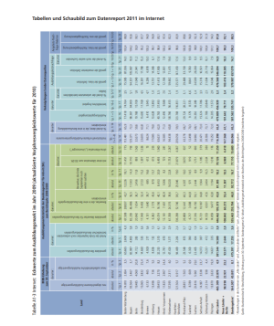 Dokumente: Tabellen und Schaubilder zum Datenreport im Internet 2011