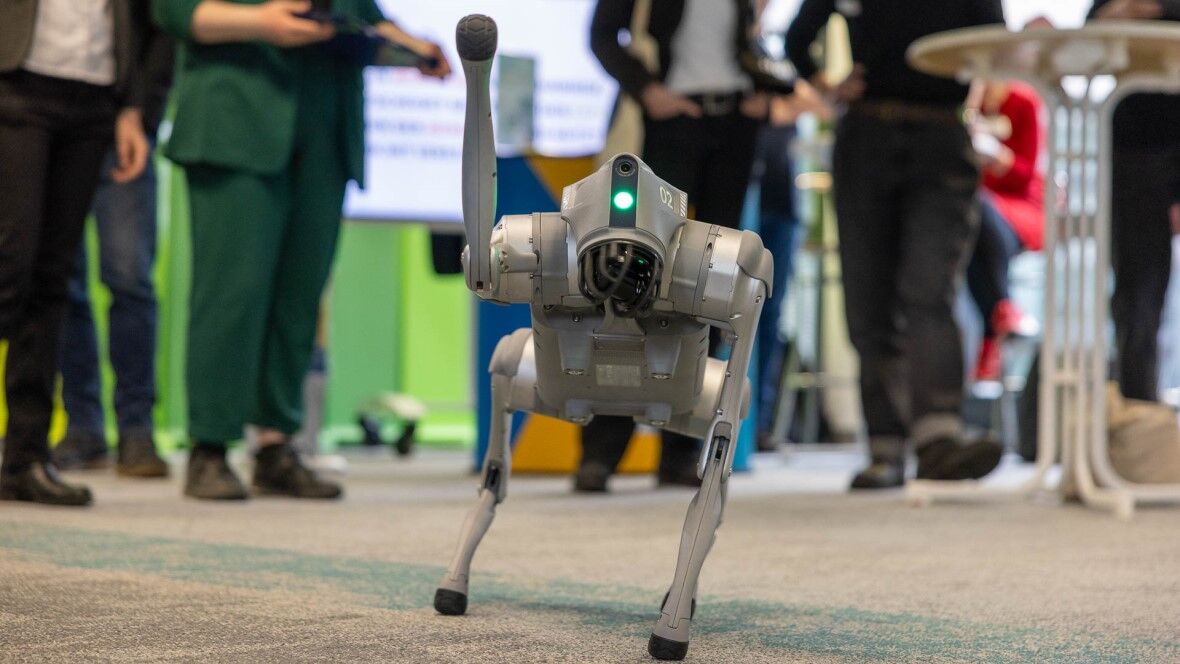 Der Roboterhund Huski