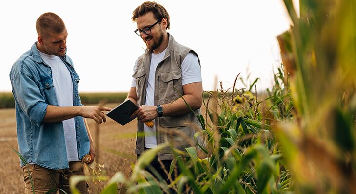 Zwei M&auml;nner stehen auf einem Feld neben hohen Pflanzen und betrachten gemeinsam ein Tablet bzw. Notizbuch. Einer zeigt darauf, w&auml;hrend beide sich darauf konzentrieren und miteinander sprechen.