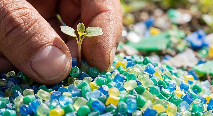 Eine kleine Pflanze wird gepfl&uuml;ckt, die aus Plastikk&uuml;gelchen w&auml;chst. 