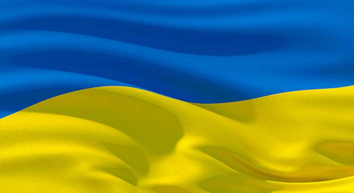 Ukrainian flag