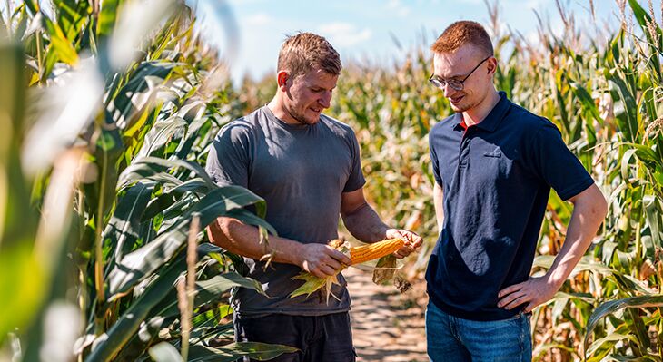 Zwei junge M&auml;nner stehen im Maisfeld und schauen sich einen Maiskolben an. 