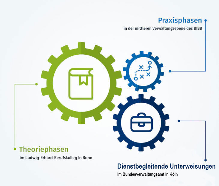 Die 3 Phasen der Ausbildung