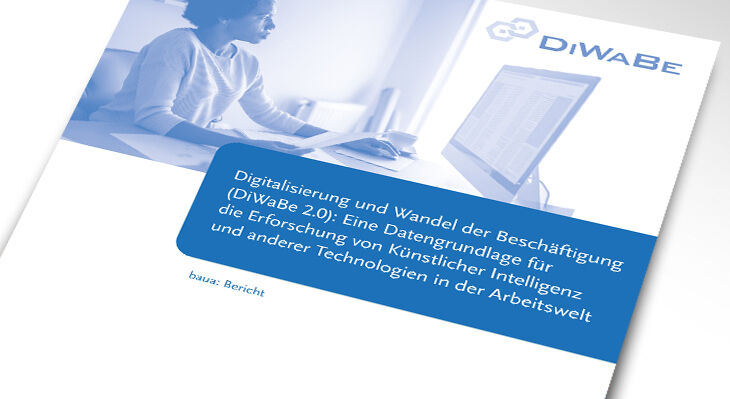 Cover der DiWABE 2.0
