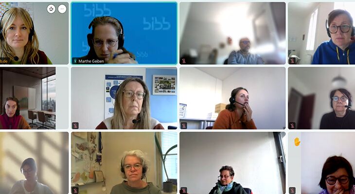 Screenshot of the participants in the online expert seminar
