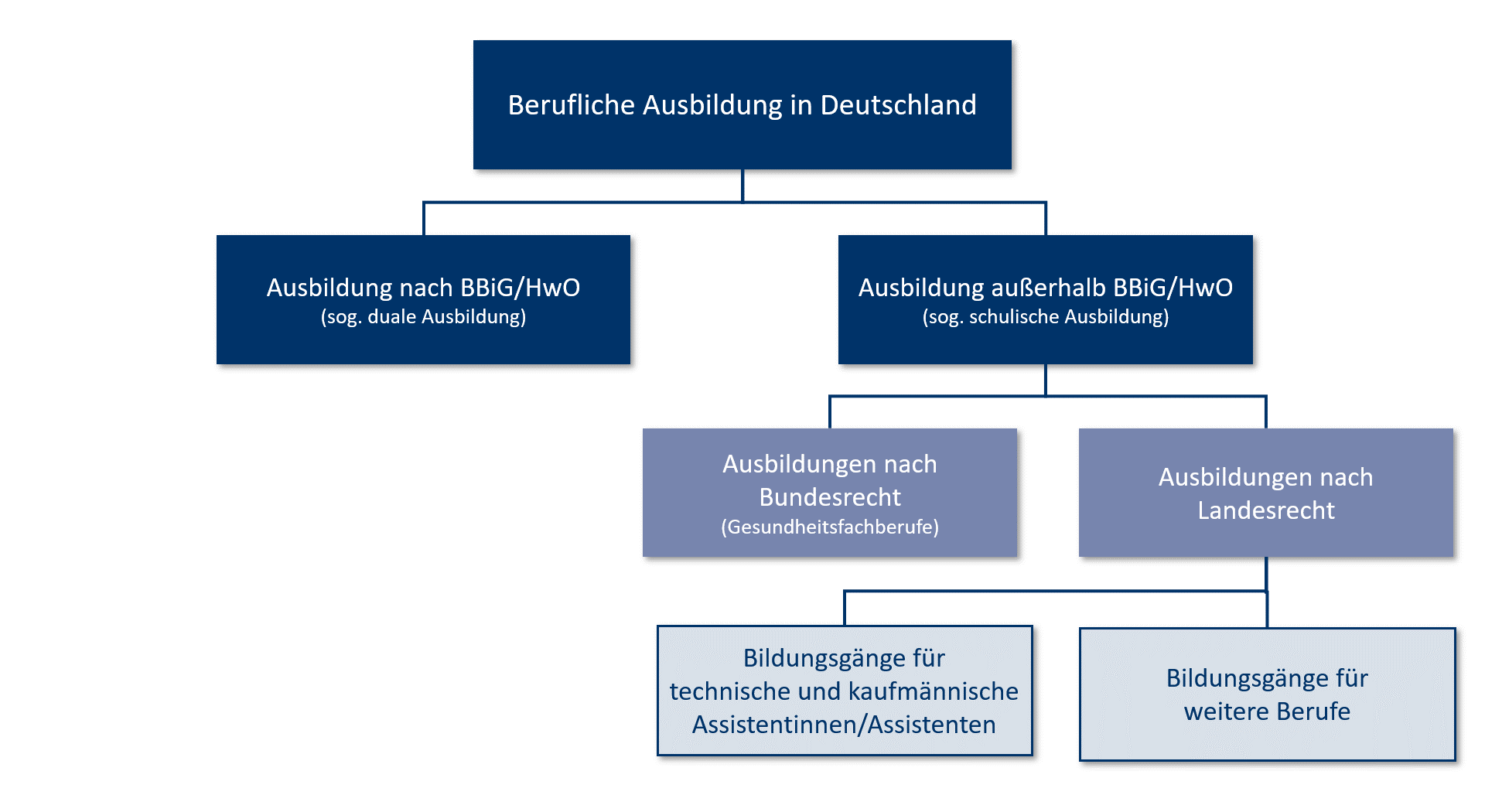 Eine Grafik, die das Bildungssystem im Deutschland beschreibt.