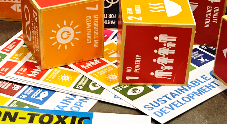 W&uuml;rfel und Karten, die als Material zum interaktiven Beratungstool VET Chain geh&ouml;ren