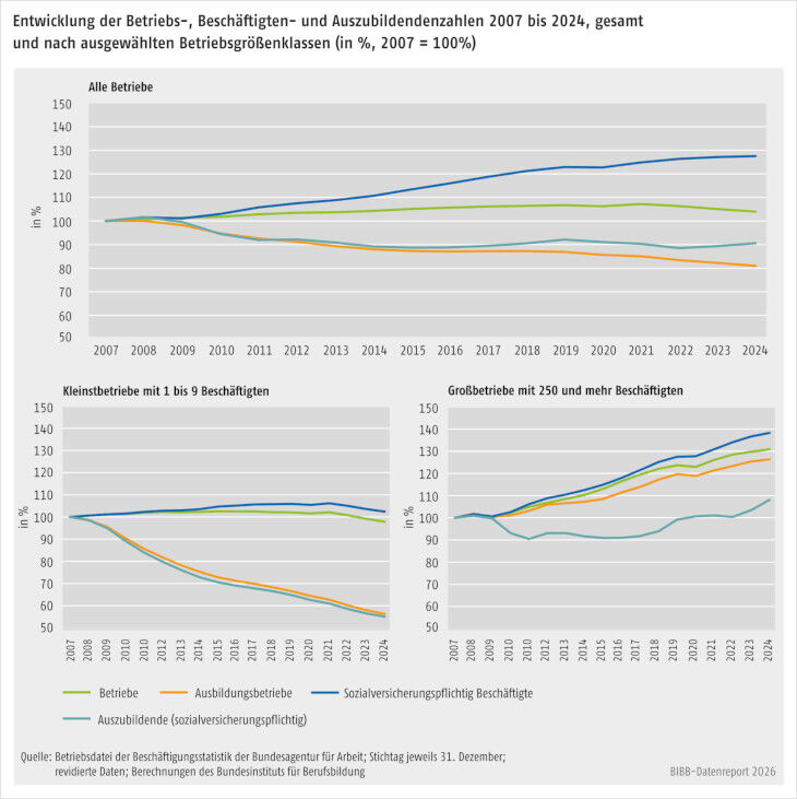 Schaubild 3 zur Entwicklung der Betriebs-, Besch&auml;ftigten- und Auszubildendenzahlen ab 2007. Drei Grafiken zeigen die Entwicklung in ausgew&auml;hlten Betriebsgr&ouml;&szlig;enklassen.