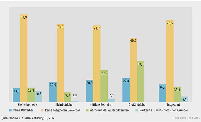 Von Betrieben selbst genannte Gründe für unbesetzte Stellen, 2011 (in %)