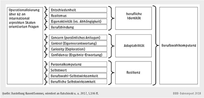 Schaubild C2.3-1: Modell der Berufswahlkompetenz