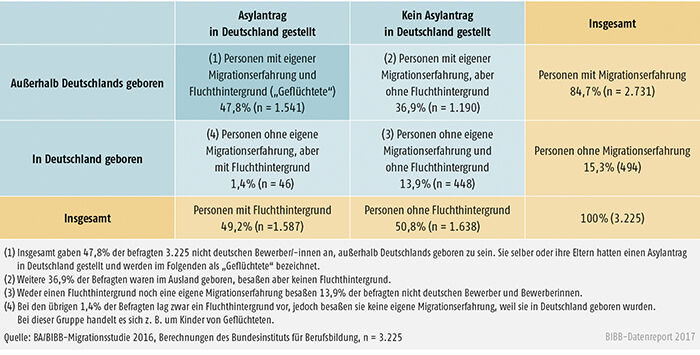 Schaubild C4.1-1: „Fluchthintergrund“ und „Migrationserfahrung“ der befragten nichtdeutschen Bewerber/-innen