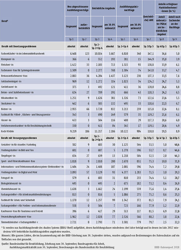 Tabelle A1.1.2-2: Berufe mit Besetzungs- und Versorgungsproblemen 2017