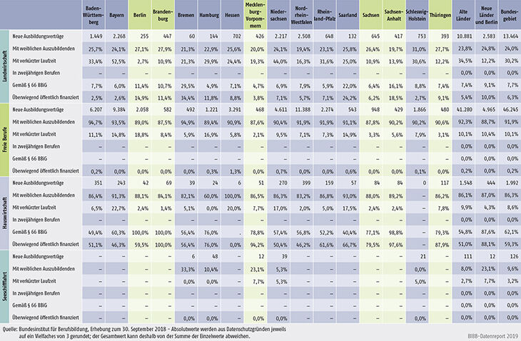 Tabelle A1.2-4: Neu abgeschlossene Ausbildungsverträge 2018 nach strukturellen Merkmalen (Anteil in %) (Teil 2 ― Fortsetzung)