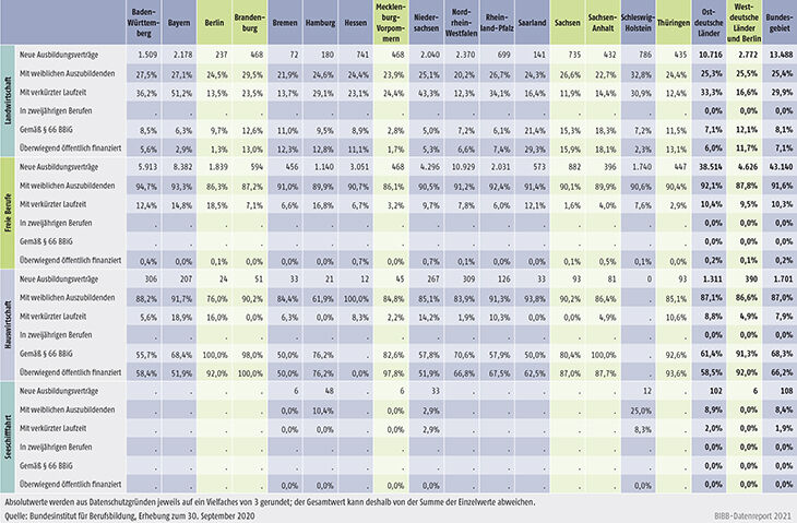 Tabelle A1.2-4: Neu abgeschlossene Ausbildungsverträge 2020 nach strukturellen Merkmalen (Anteil in %) (Teil 2 – Fortsetzung)