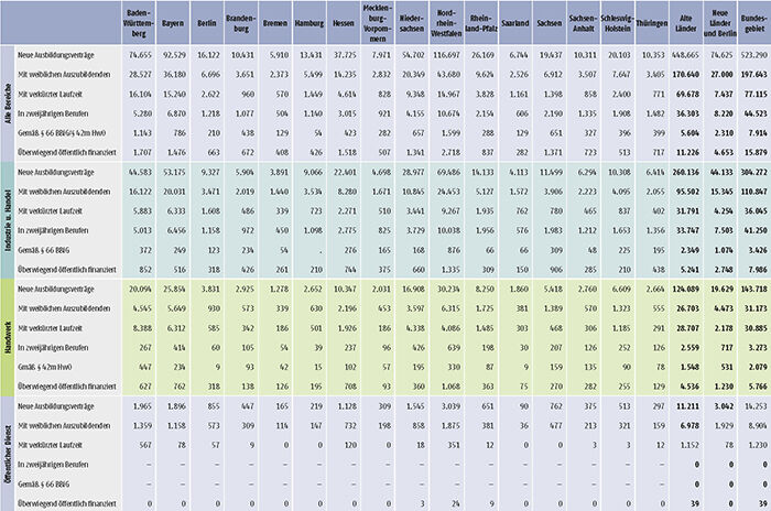 Tabelle A1.2-4: Neu abgeschlossene Ausbildungsverträge 2017 nach strukturellen Merkmalen (Teil 1)