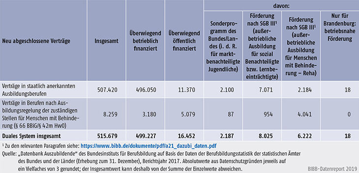 Tabelle A5.4-6: Staatlich anerkannte Ausbildungsberufe und Ausbildungsregelungen der zuständigen Stellen für Menschen mit Behinderung (§ 66 BBiG/§ 42m HwO) nach Art der Förderung, Berichtsjahr 2017