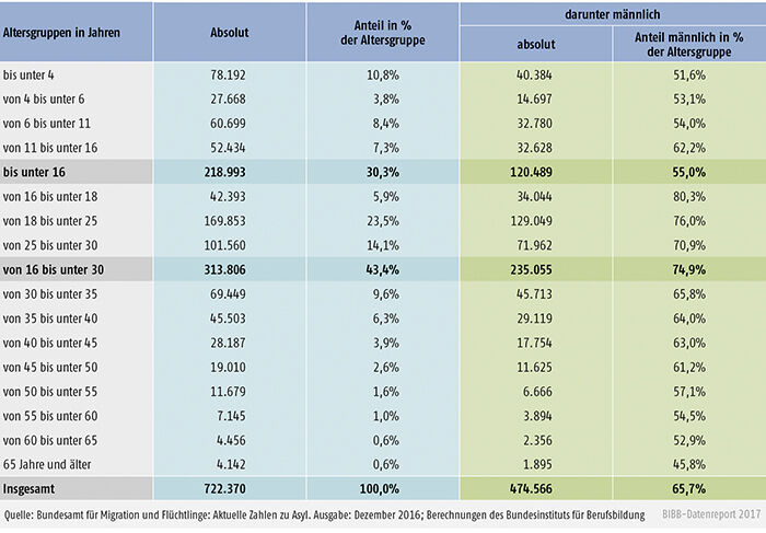 Tabelle C2-1: Alter und Geschlecht der Asylerstantragsteller/-innen 2016
