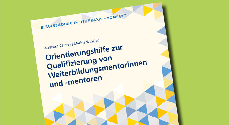 Cover der Publikation gestaltet mit gelben und blauen Dreiecken auf gr&uuml;nem Hintergrund.