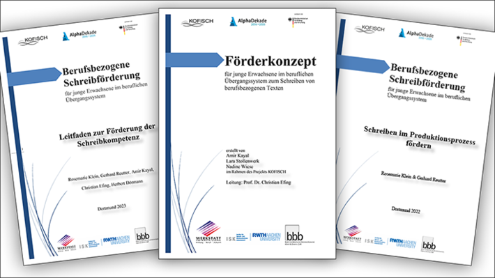 Schreibkompetenz: Förderkonzept für Übergangssystem