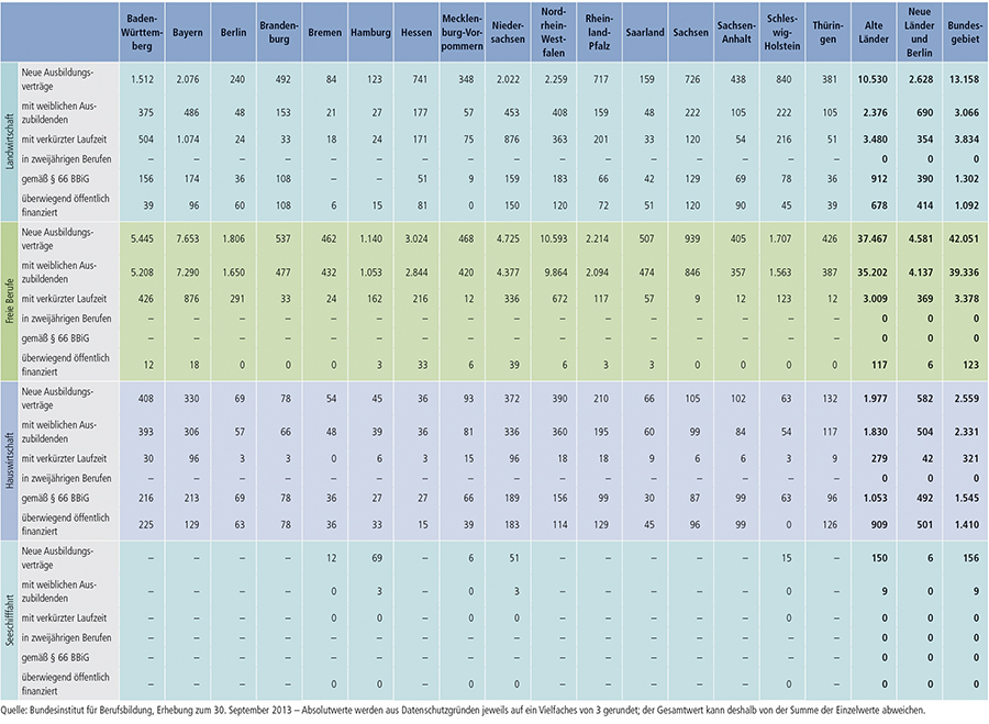 Tabelle A1.2-4: Neu abgeschlossene Ausbildungsverträge 2013 nach strukturellen Merkmalen (Teil 1 – Fortsetzung)